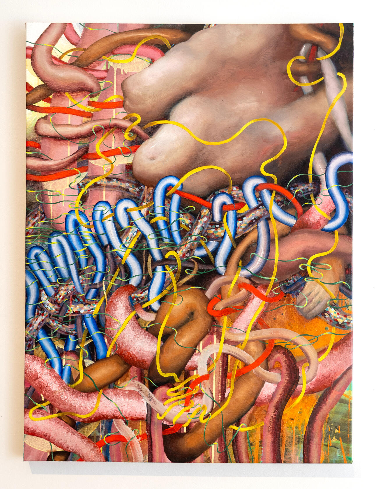 Tangled echoes, Oil and acrylic on canvas, 30 x 40 inches, 2024